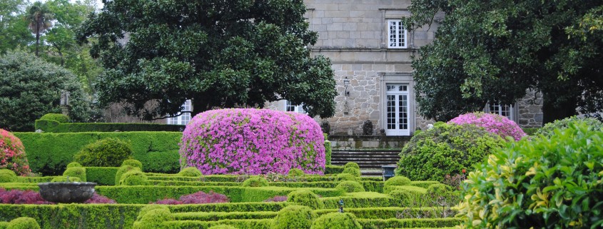 Blog del Pazo De Rubianes. La Ruta de los Jardines de camelia.